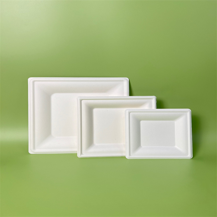 sugarcane plate 10” from mmcis china